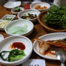 붕붕오리나라 이미지