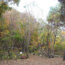 용현자연휴양림 이미지