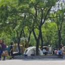 난지천2(잔디매점) 이미지