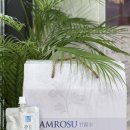 몸편한한의원 이미지