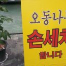 오동나무주유소 이미지