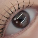 원도안로-11 이미지