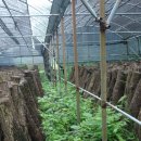 용흥축산 이미지