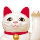 네꼬재팬
