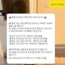 동행샵 | [제주웨딩스냅] 포레스트랩(드헤메+동행 토탈샵) 후기 ✨