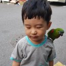 푸르미세탁소 이미지