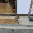 들성로-4 | [쉐프앤돈가든] 구미 고깃집ㅣ구미 유일 명란 삼겹살 솔직 후기