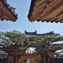 송림전마당 | 팔공산 숙소 추천 송림한옥리조트(대구 한옥펜션, 야외바베큐장,한옥 독채리조트)