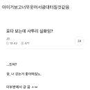 이거 뭔 포탄지 궁금함 이미지