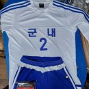 진도체육사
