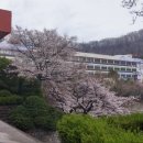 인천보건고등학교 네이버블로그