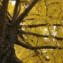 멤버스클럽 이미지