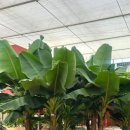 더레드하우스 베이커리카페 이미지