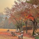 몽마르뜨공원 네이버블로그