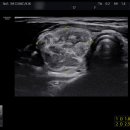 으뜸내과의원 이미지