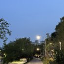성남물빛정원 첼리스트 김가은 "깊은 울림, 젊은 첼로" 저녁 화요일 공연 후기