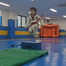 엘림 태권도 이미지