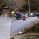 우리사슴목장 이미지