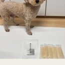 와락펫푸드 이미지