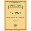 대상체르니 이미지