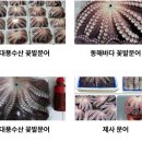 대풍수산 네이버블로그
