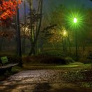 새암공원 이미지