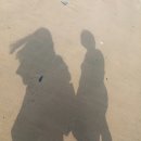 신전떡볶이중문점 이미지