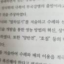 큰 따옴표 작은 따옴표 사용 기준이 뭐야..? 이미지