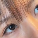 페이스아이웨어 윙크 두타점 | 하파크리스틴 빈크리스틴 드립브라운 내돈내산 후기