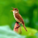 꿈꾸는 언덕 이미지