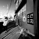 도산로 이미지