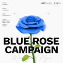 [올마이스] 엔버월드 X 발달장애대안학교 산돌학교 'BLUE ROSE CAMPAIGN 이미지