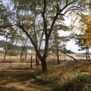 농협 주차장 이미지