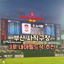 한화이글스 | 사직구장 3루 내야필드석 좌석 추천 한화이글스 야구 직관 후기