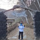 순직산업전사위령탑 | 태백 운탄고도 6길 (함백산 소공원 - 순직 산업전사 위령탑)눈 덮인 만항재부터 힐링 자작나무 숲까지...