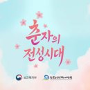 춘자의 전성시대