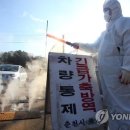 김상만농장 연합뉴스