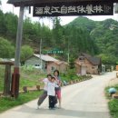 주천강강변자연휴양림 이미지