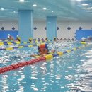 베스트어린이전용 수영장 이미지