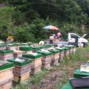 화봉농장 이미지