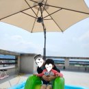 옥터농장 이미지