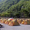 소선암유원지(야영장)내 이미지