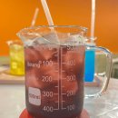 VITACAFE(비타카페) 네이버블로그