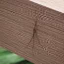 신안 유치원 이미지