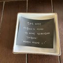 목련양과