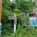 죽성사거리(기장대로) (청강리 13-3) | 부산 갈맷길::1코스 2구간
