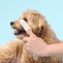 클린아이 이미지