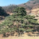 산북로(북후면) 이미지