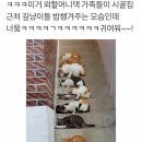 마라톤세탁소 이미지