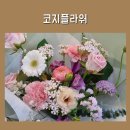 소소롱 플라워 스튜디오 | 경기광주 꽃집 코지플라워 스튜디오